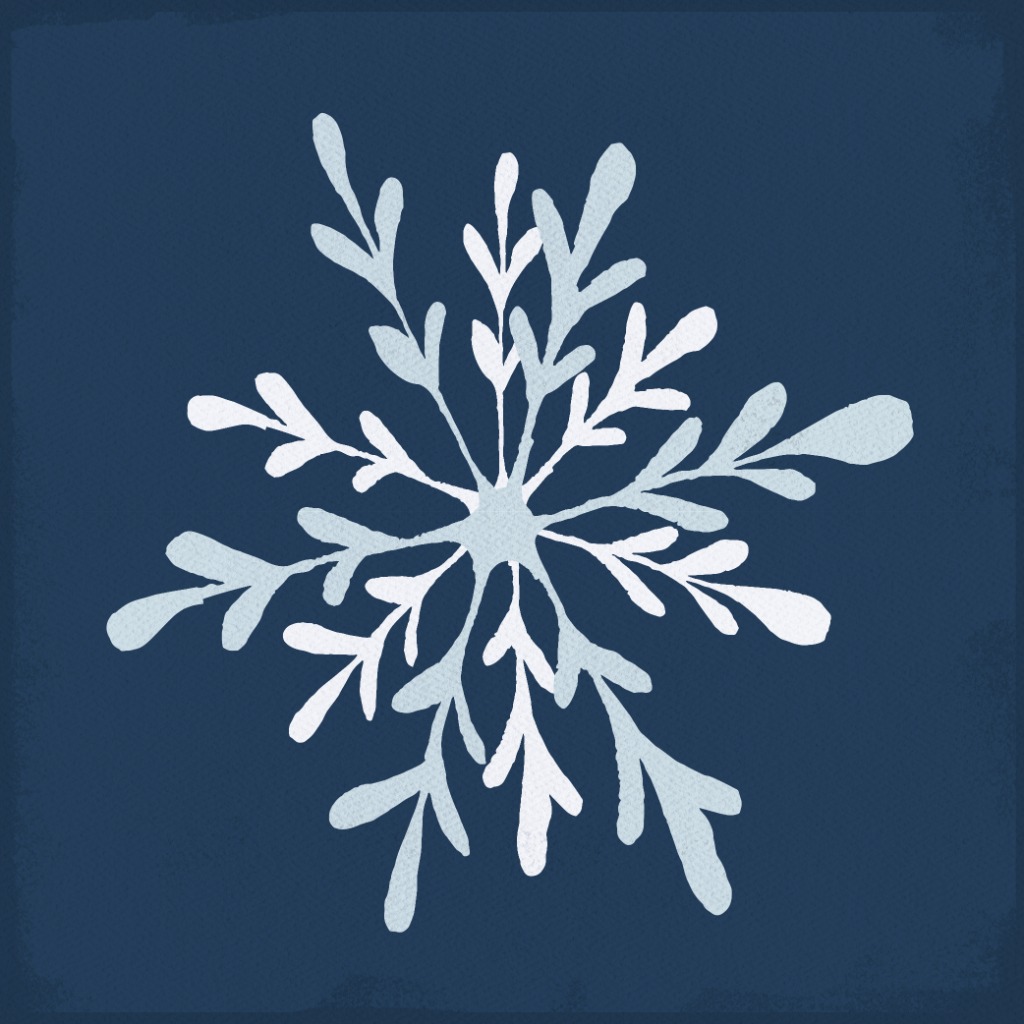 White and blue holiday snow flake illustration
