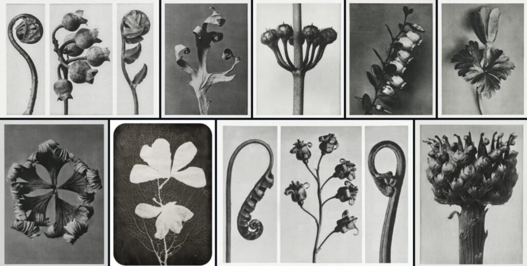 Screenshot 2568 04 02 at 09.58.54