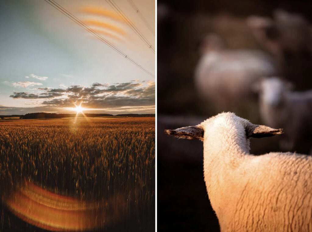 ค่าสีกล้อง