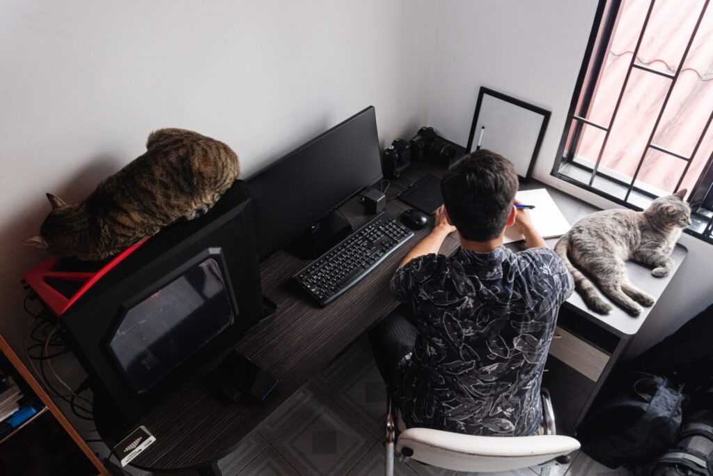 ภาพสต็อก