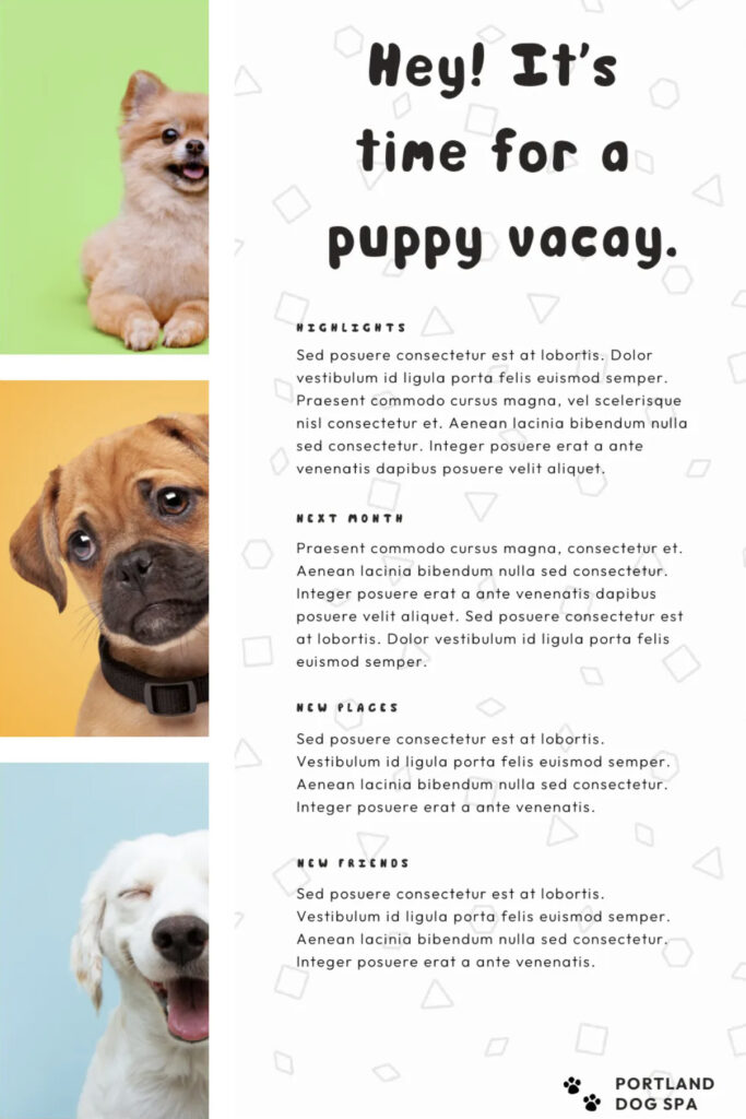 ยกระดับธุรกิจด้วยภาพสต็อกอย่างไรให้มีประสิทธิภาพ