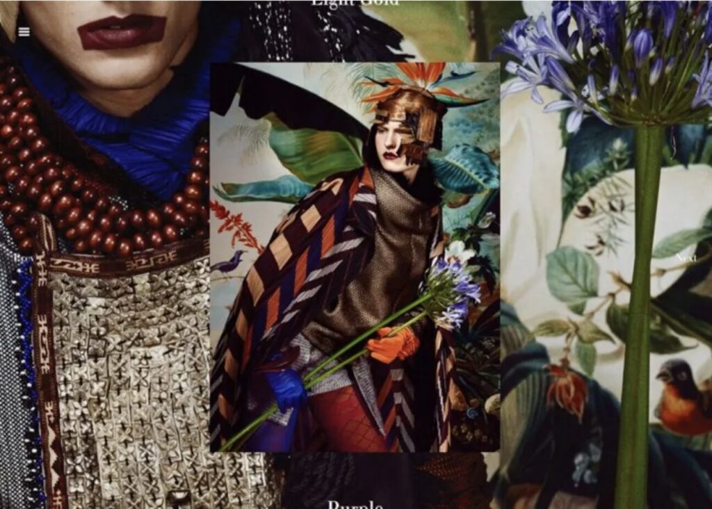 พอร์ตโฟลิโอ 1 2