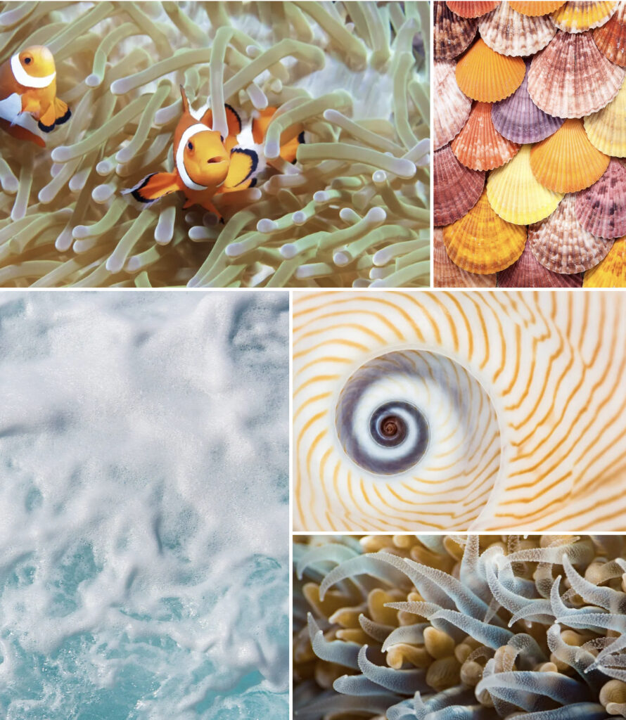 เทรนด์การค้นหาภาพใน Shutterstock ปี 2023